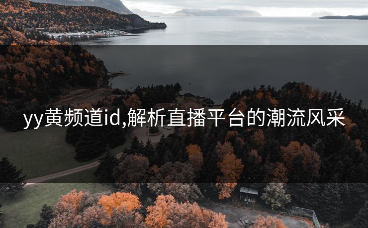 yy黄频道id,解析直播平台的潮流风采