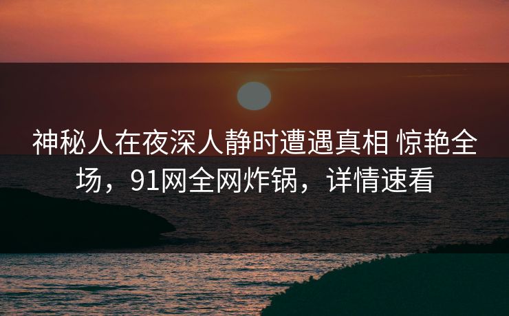 神秘人在夜深人静时遭遇真相 惊艳全场，91网全网炸锅，详情速看