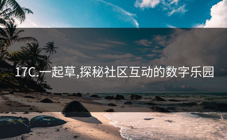 17C.一起草,探秘社区互动的数字乐园