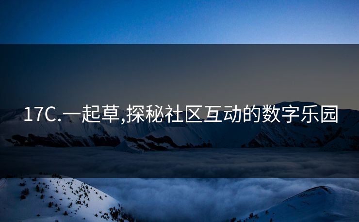 17C.一起草,探秘社区互动的数字乐园