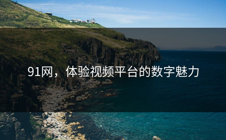91网,体验视频平台的数字魅力 91网,体验视频平台的数字魅力