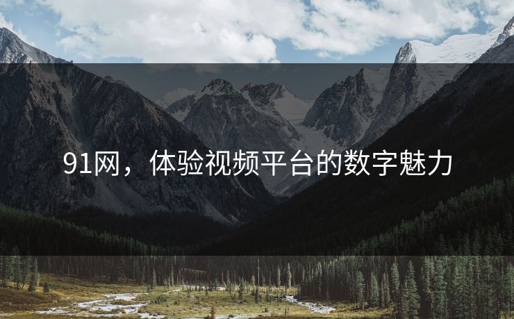 91网,体验视频平台的数字魅力 91网,体验视频平台的数字魅力