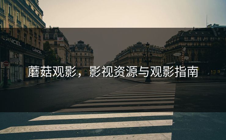蘑菇观影,影视资源与观影指南 蘑菇观影,影视资源与观影指南