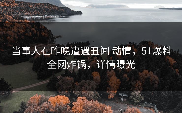 当事人在昨晚遭遇丑闻 动情，51爆料全网炸锅，详情曝光