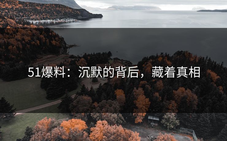 51爆料:沉默的背后,藏着真相 51爆料:沉默的背后,藏着真相
