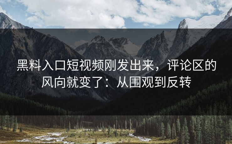 黑料入口短视频刚发出来，评论区的风向就变了：从围观到反转