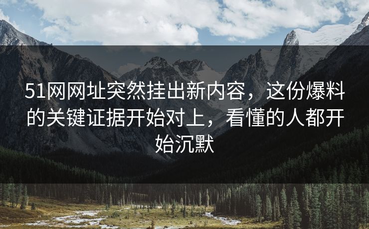 51网网址突然挂出新内容，这份爆料的关键证据开始对上，看懂的人都开始沉默